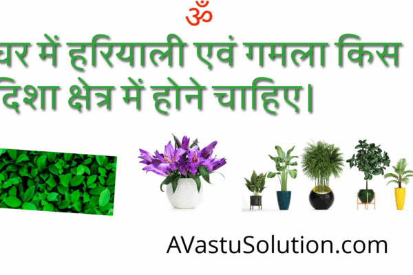 greenery and pots be placed in the house