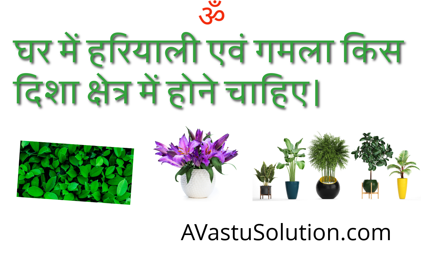 greenery and pots be placed in the house
