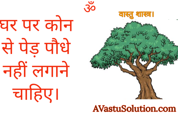 घर पर कौन-कौन से पेड़ पौधे लगाने चाहिए ? Which trees and plants should not be kept at home