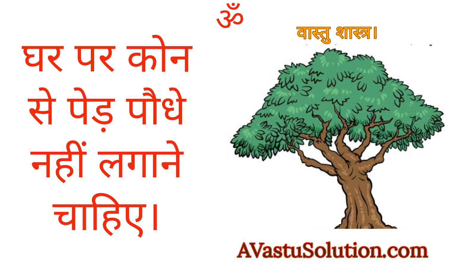 Which trees and plants should not be kept at home