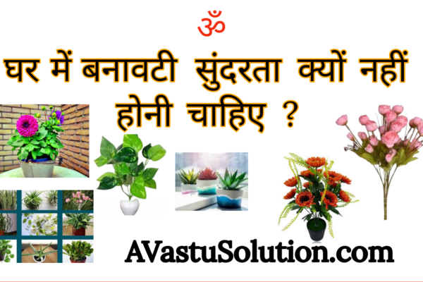 Why should there not be artificial beauty in
